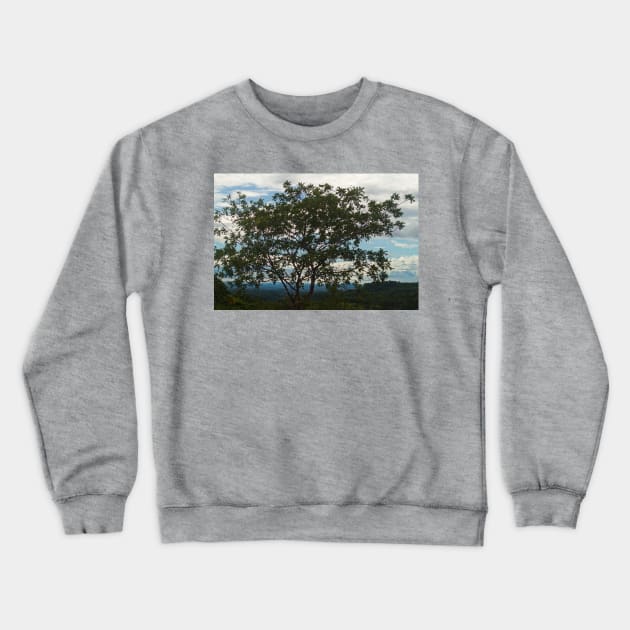 blla silhouette tree Crewneck Sweatshirt by pcfyi